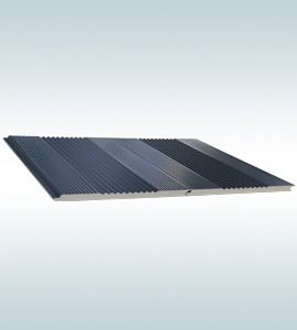 Project Image 6